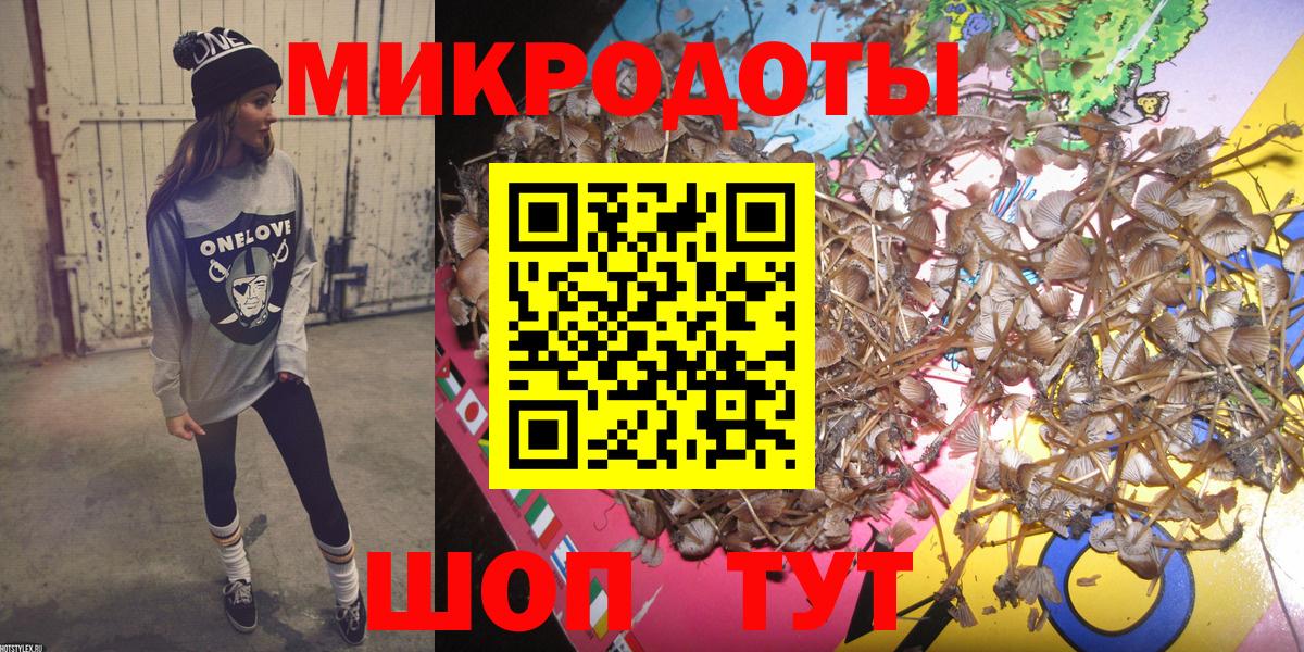 Галлюциногенные грибы Psilocybine cubensis Ачинск