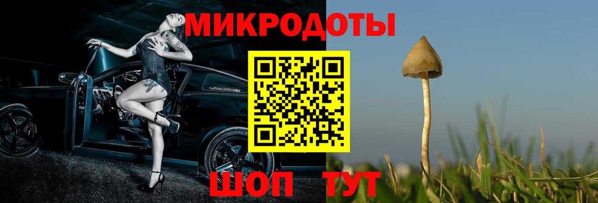 Псилоцибиновые грибы Psilocybine cubensis  Галлюциногенные грибы Cubensis  Вход с VPN  Ачинск 